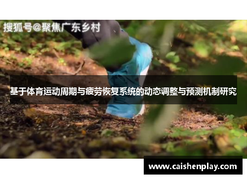 基于体育运动周期与疲劳恢复系统的动态调整与预测机制研究